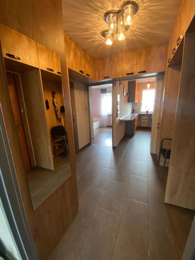 Apartament Arena 兹戈热莱茨 外观 照片